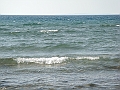 Western Michigan [2010] 880